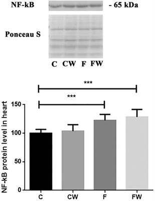 Walnut supplementation after fructose-rich diet is associated with a beneficial fatty acid ratio and increased ACE2 expression in the rat heart